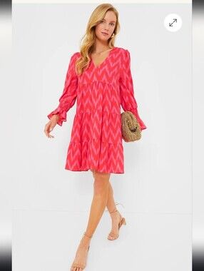 Pomander Place Hot Pink Ikat Kenzo Dress